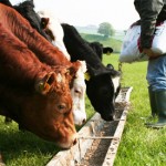 Farmix - Kliënte prestasieprogram