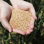 Privaat Rantsoene | Custom Mixes